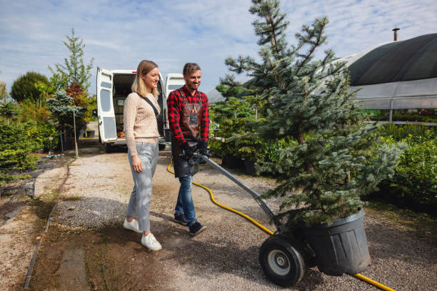 Tree Removal for Businesses in Blacksburg, VA